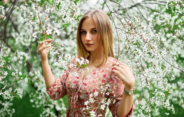 Picture look, girl, the sun, flowers, branches, pose, model, portrait