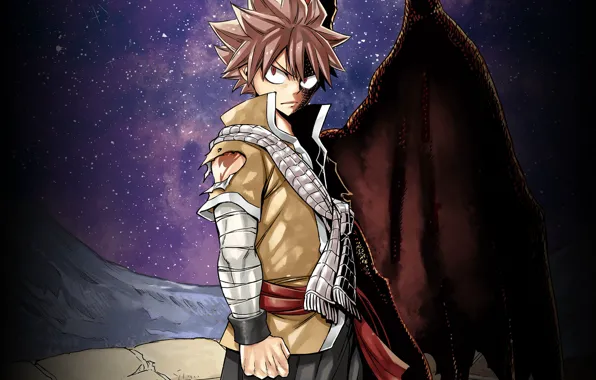 Natsu Dragneel Dragon Force  Fairy tail anime, Fairy tail art, Fairy tail dragon  slayer