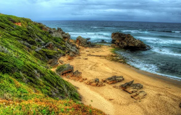 Picture sea, beach, the sky, grass, clouds, the ocean, Landscapes, nature