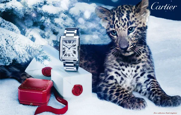 Wallpaper style box gift watch leopard Cartier for mobile and