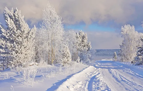 Winter, frost, road, snow, nature, frost