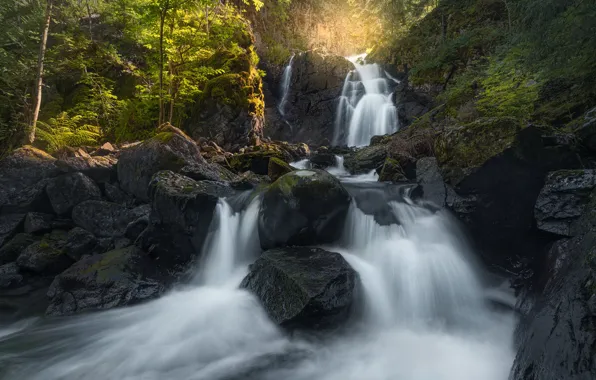 Trees, stones, rocks, waterfall, Norway, cascade, Norway, Lier