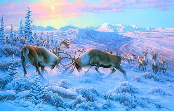 Picture winter, forest, animals, snow, mountains, fight, horns, deer