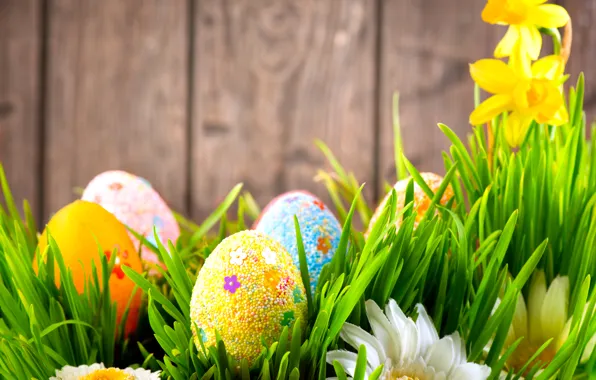 Picture grass, flowers, wall, holiday, Board, chamomile, eggs, Easter