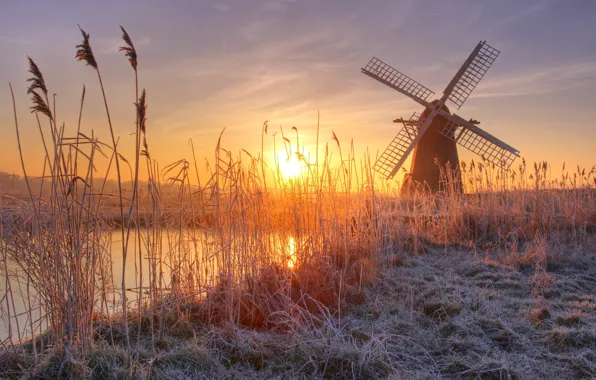 Frost, the sun, River, mill, reed
