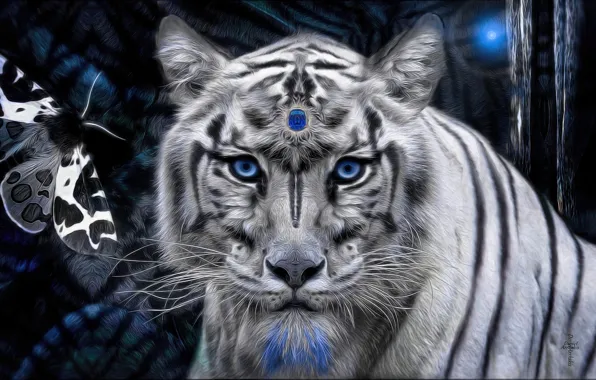 Picture white, tiger, stone, mystic
