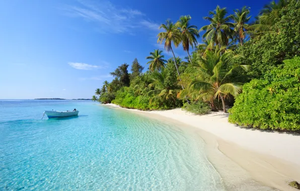 Water, transparency, tropics, palm trees, the ocean, boat, Maldives, Dhigurah Island