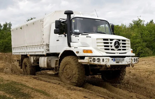 Picture Mercedes-Benz, White, Truck, Dirt, Rover, Truck, Mercedes-Benz, 1833