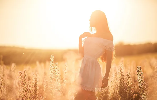 Field, summer, girl, silhouette, sunlight