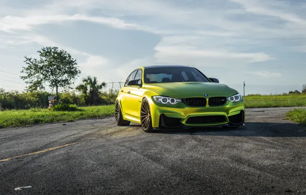 BMW, Yellow, F80, Sight, LED