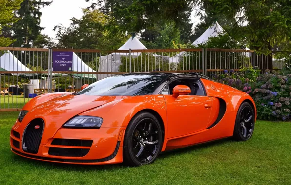 Veyron, bugatti, orange, vitesse