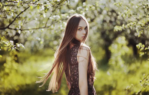 Look, girl, face, garden, long hair, bokeh