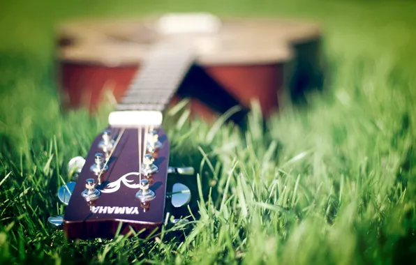 Grass, music, guitar