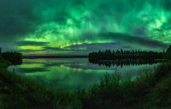 Picture summer, the sky, trees, night, lake, Northern lights