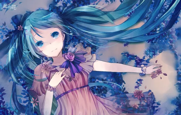 Picture sadness, loneliness, tears, Vocaloid, flowers., Hatsune Miku