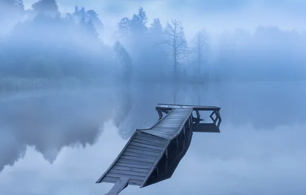 Trees, bokeh, the old pier, Misty morning, Sergey Martyushin