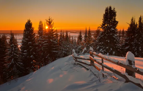 Picture Nature, Winter, Landscape, Sun, Snow, Sunrise, Firs