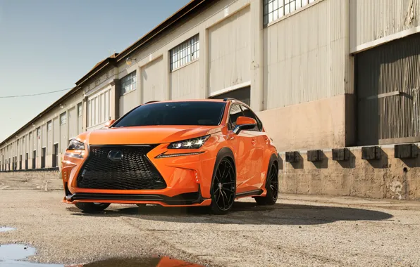 Lexus, F-Sport, 2014, 200t, by 360 Elite Motorworks