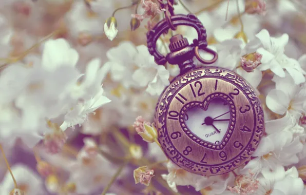 Flowers, metal, watch, white, heart, pocket