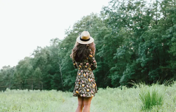 Picture girl, hat, dress