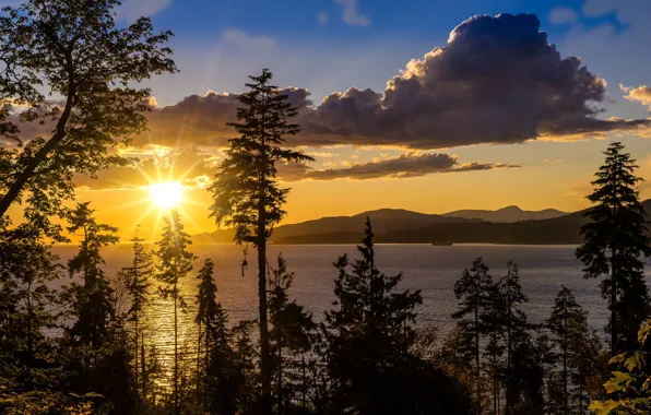 The sky, clouds, sunset, ate, pine, silhouettes, pond