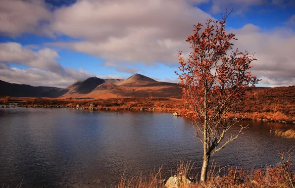Picture autumn, lake, tree, hills