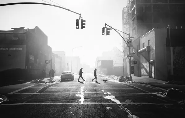 People, sunlight, cityscape, traffic light, crosswalk, crossing