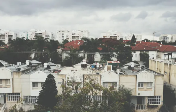 Trees, winter, clouds, buildings, Israel, Rehovot, boilers