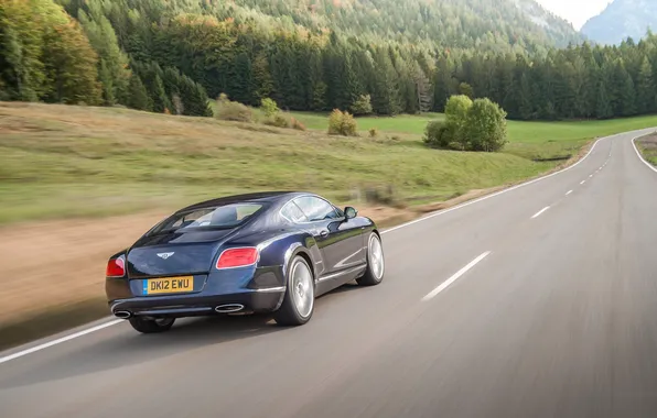 Bentley, Continental, Road, Mountains, Blue, Forest, Machine, Bentley