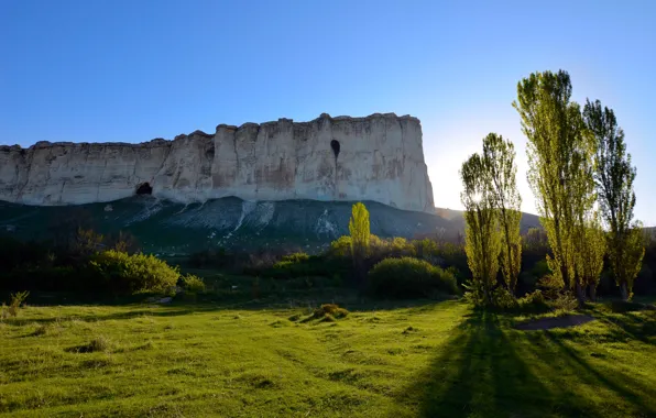 Wallpaper Mountains, Forest, Morning, Dawn, Crimea, White rock