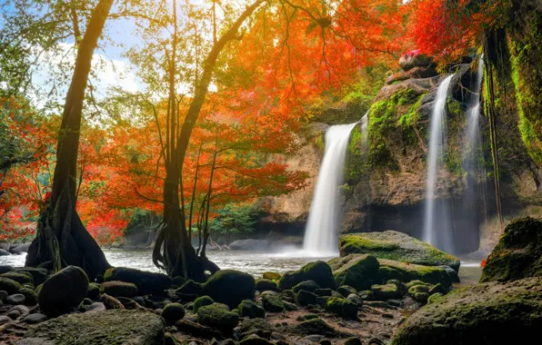 Autumn, forest, water, nature, river, waterfall, forest, cascade