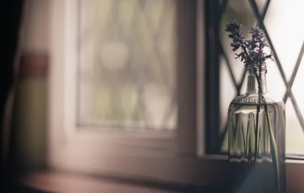 Picture flowers, window, Bank