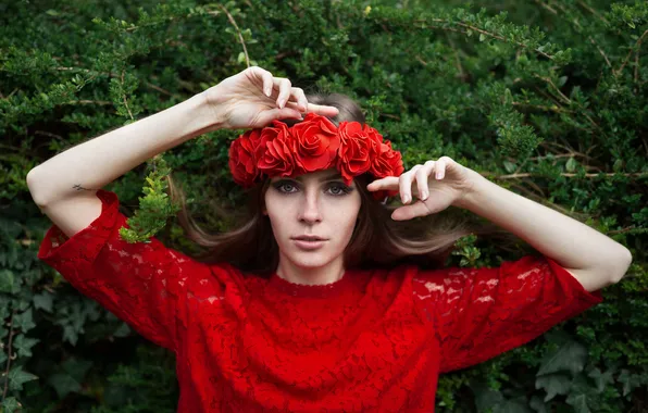 Picture look, girl, flowers, face, background, hands