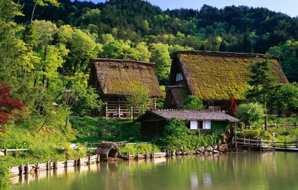 Forest, house, Japan, Japan, gazebo, houses, water., cites