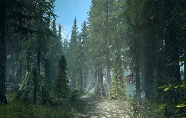 Picture road, forest, mountains, nature