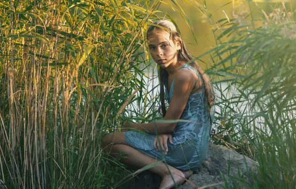 Grass, nature, stone, Alina, Evgeny Matveev