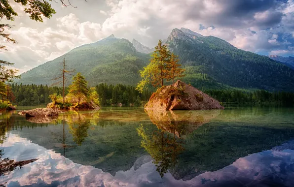 Picture trees, mountains, lake, rocks