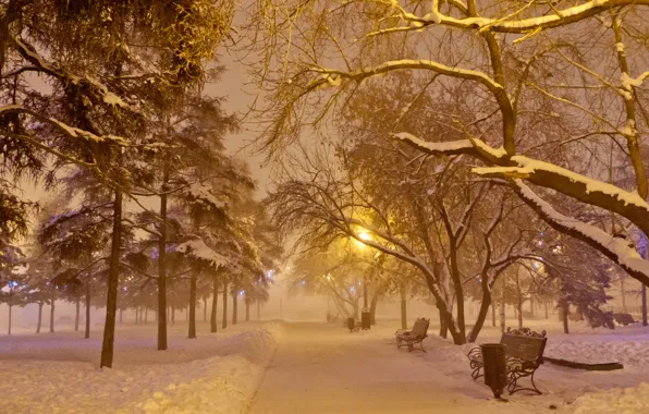 Picture frost, snow, night, fog, shop, lantern, New year, garland