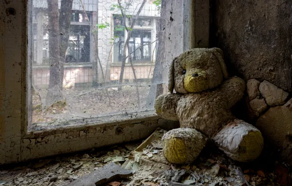 Picture toy, window, bear, naturalism