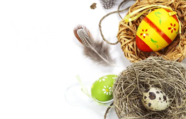 Picture photo, Feathers, Easter, Eggs, Holiday