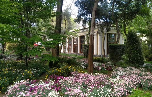 Spring, Spring, Azerbaijan, Azerbaijan, Baku, Baku, The Governor's garden
