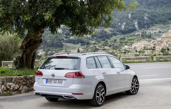 Tree, Volkswagen, rear view, universal, 2017, Golf Variant, white-gray