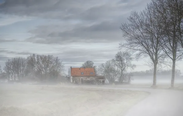 Picture road, fog, house, Nederland, Zeeland, Abbekinderen