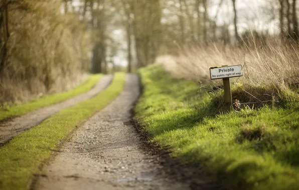 Picture road, grass, nature, Private