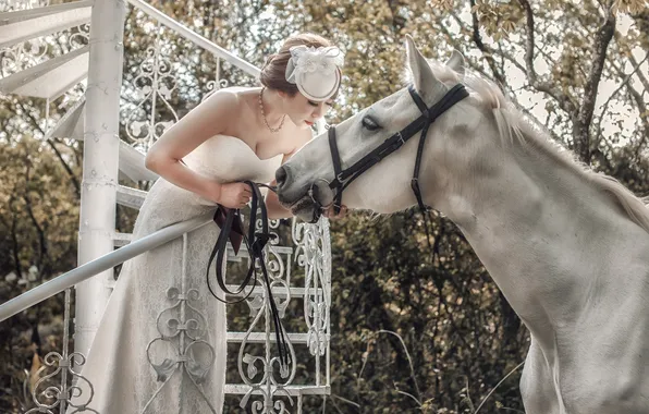 White, horse, horse, Asian, the bride