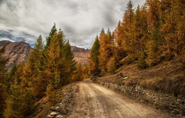 Picture road, autumn, mountains