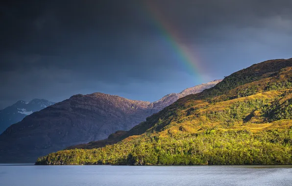 Sea, forest, clouds, light, mountains, rocks, shore, rainbow