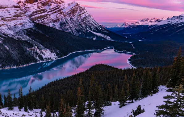 Picture winter, forest, snow, mountains, lake, morning, Canada