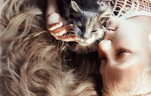 Cat, light, face, kitty, grey, hair, hand, girl