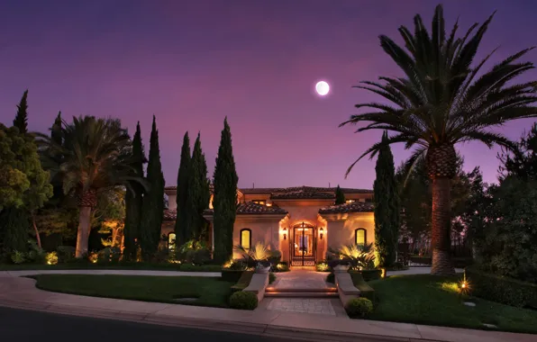 Road, the sky, night, design, lights, house, palm trees, lawn